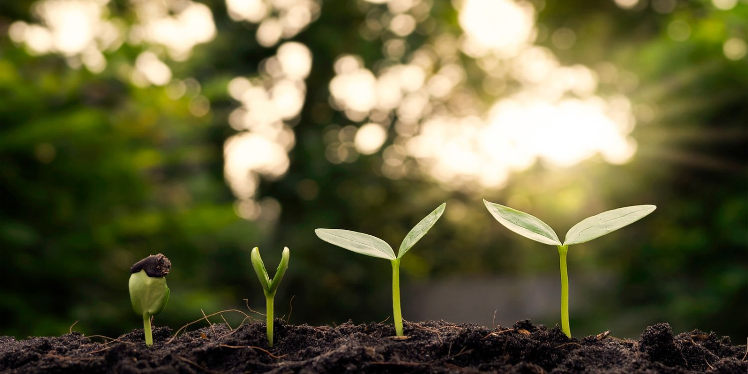 EYLF Principles 6 Sustainability